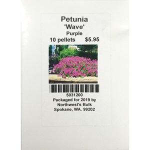 10ea Petunia Purple Wave