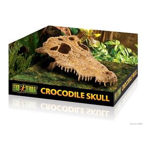 Hagen Exo Terra Crocodile Skull