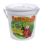 Tip Top Red Worms 200pk