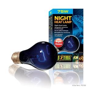 Hagen Exo Terra Night Heat Lamp - A19 / 75 W