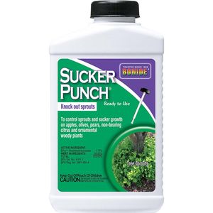 BONIDE Sucker Punch® Ready-To-Use, 16 oz
