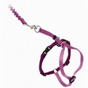 Premier Come With Me Kitty Harness & Bungee Leash Medium Dusty Rose