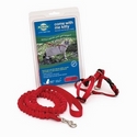Premier Come With Me Kitty Harness & Bungee Leash Large Red