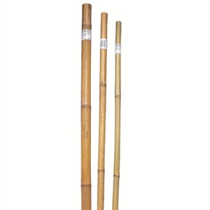 Bond® Super Bamboo Pole Plant Support - 1.5in Diam x 6ft H