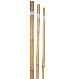 Bond® Super Bamboo Pole Plant Support - 1.5in Diam x 8ft H