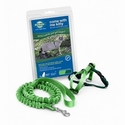 Premier Come With Me Kitty Harness & Bungee Leash Kitten/Small Electric Lime