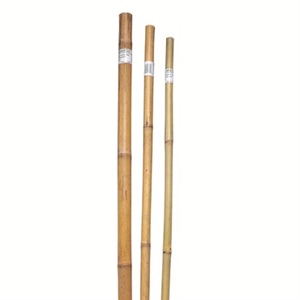 Bond® Super Bamboo Pole Plant Support - 1in Diam x 8ft H