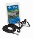 Premier Come With Me Kitty Harness & Bungee Leash Medium Black