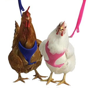 Valhoma Chicken Harness - Pink 13in - 17in