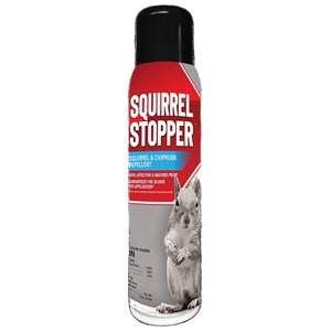 MessinaSquirrel Stopper Pressurized Spray Bottle - 15oz