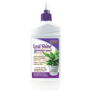 BONIDE Leaf Shine & Moisture Guard Spray Ready-To-Use, 12 oz