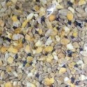 Northwest Seed & Pet 5lb Dove & Quail Mix