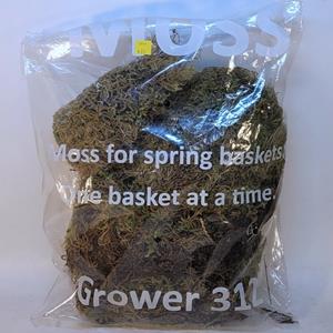 Mainland Floral 1 Consumer Bag of Moss