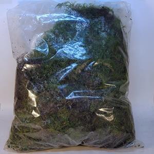 Mainland Floral Green Forest Moss - 1 Large Bag