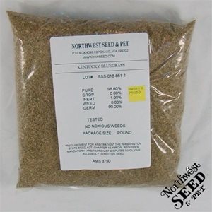 Northwest Seed & Pet Kentucky Bluegrass Lawn Seed - 1lb