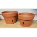 Washington Pottery 7in Clay Orchid Pot