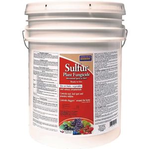 Bonide Sulfur Plant Fungicide Dust, 25 lbs