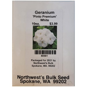 10ea Geranium Pinto White