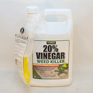 Vinegar 20%  1g   HARRS
