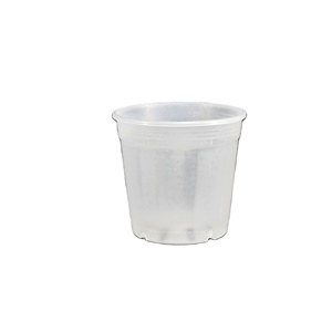 Clear Plastic Round Orchid Pots - 6 in wide