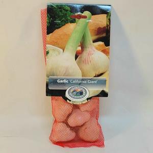 Simple Pleasures 'California Giant' Garlic - 5 bulbs