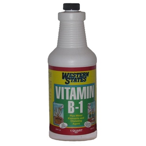 Liquinox® Western States Vitamin B-1 - 32oz (1qt)