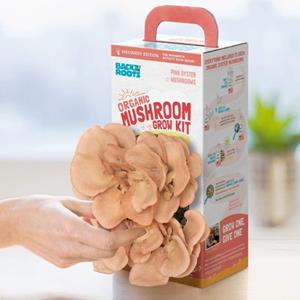 Back To The Roots Organic Pink Oyster Kit