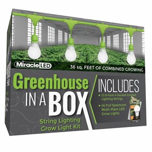 MiracleLED® Greenhouse in a Box - 6ft - 4-Bulb - Ultra Grow Lite - Full Spectrum Grow Bulbs - Boxed