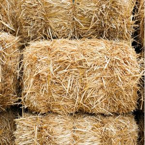 Bale of Straw