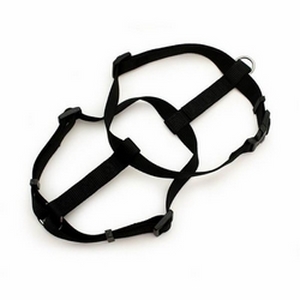 Petmate Standard Nylon Dog Harness Black 3/4 X 20-28in