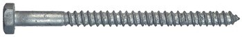 GALV HX LAGS 1/2X3 1/2     25