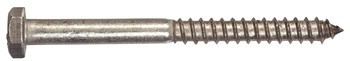 1/2" X 9" LAG SCREW  (25)