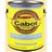 CABOT STAIN DECK SOLID NEUT GL