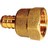 ADAPTER FIP BRASS 1/2" PEX 25/BG