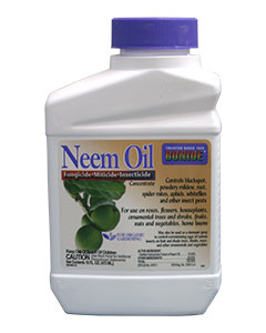 Bonide Neem Oil <br> pt