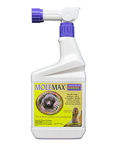 Bonide MoleMax RTS <br> qt