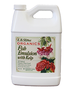 E.B. Stone Organics Fish Emulsion with Kelp (4-1-1) <br> gl