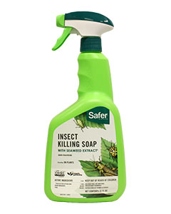 Safer Insect Killing Soap RTU <br>qt