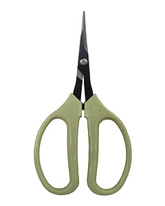 ARS Grape Scissors Curved <br>#320BM 