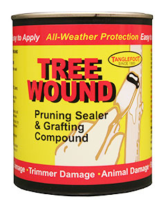 Tanglefoot Tree Wound Compound <br>pt