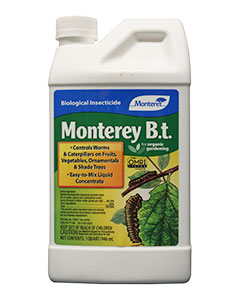 Monterey B.t. <br> qt