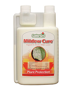 SaferGro Mildew Cure <br>qt