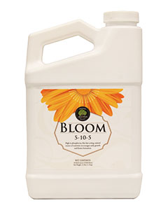 Age Old Bloom (5-10-5) <br>qt