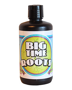Big Time Roots<br> qt