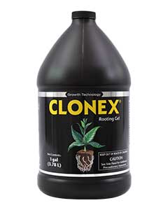 using clonex rooting gel using clonex rooting gel