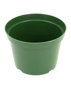 10" Dillen Azalea Pot (green) <br>each