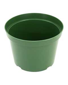 10" Dillen Azalea Pot (green) <br> 100/case