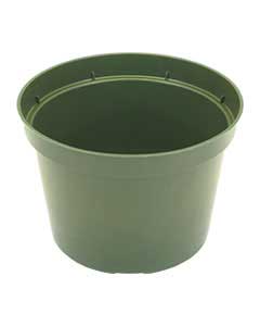6" Dillen Azalea Pot (green) <br> 640/case