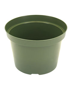 8" Dillen Azalea Pot (green) <br>each
