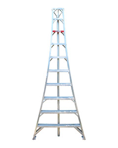 Aluminum Orchard Ladder <br>10'